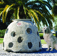 dog with large size reef ball