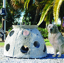 dog with medium size reef ball